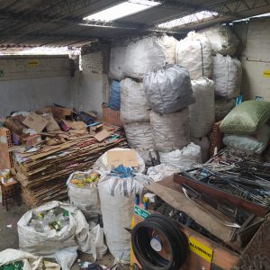bodega